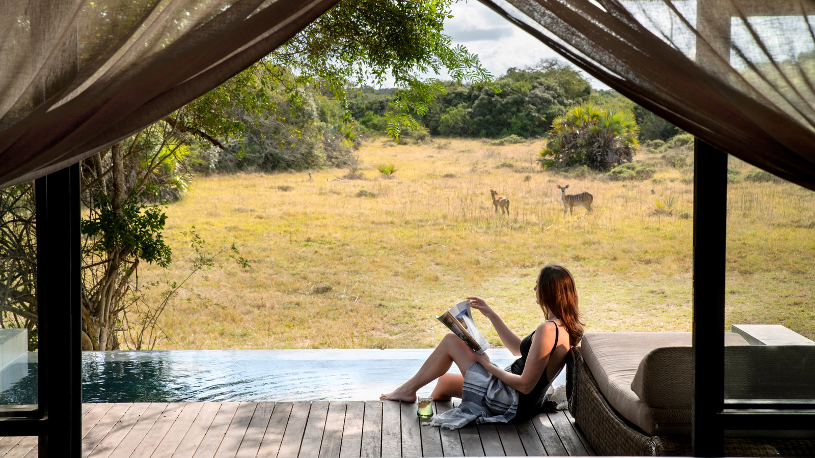 &Beyond Phinda Vlei Lodge