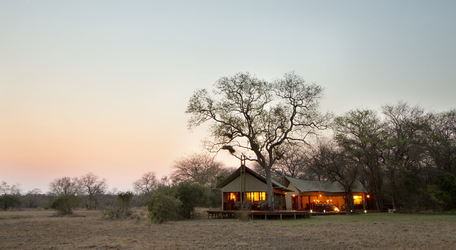 Plains Camp at Rhino Walking Safaris