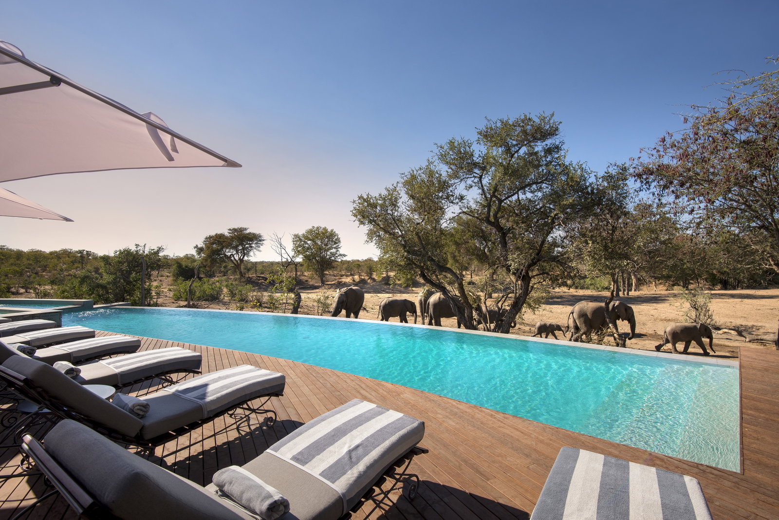 &Beyond Ngala Safari Lodge