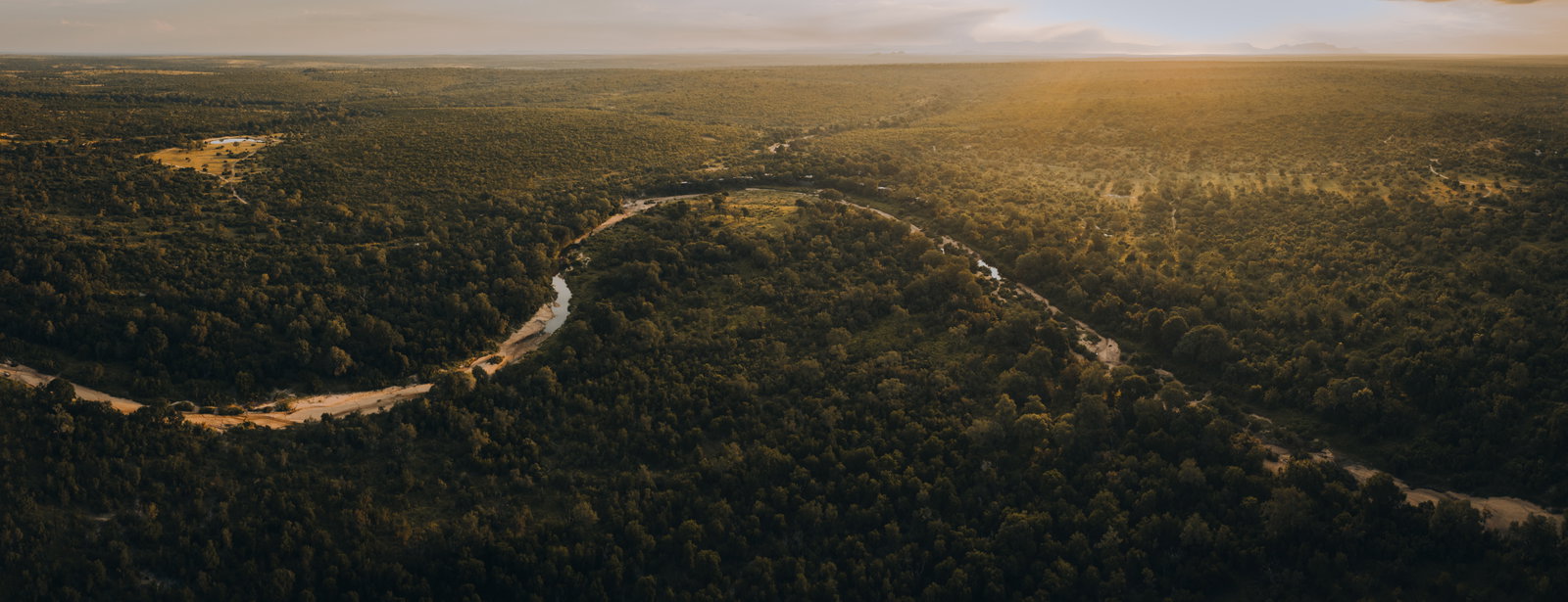 Silvan Safari